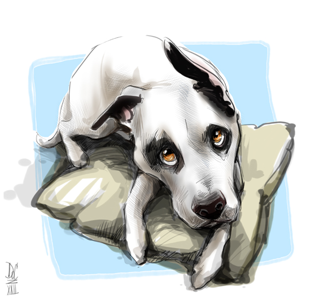 Vermont Caricature Artists